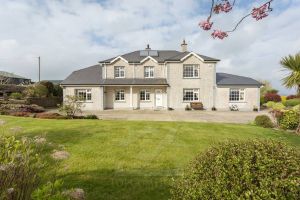 Bolinaspick, Camolin, Co. Wexford Y21 AT81 Ireland