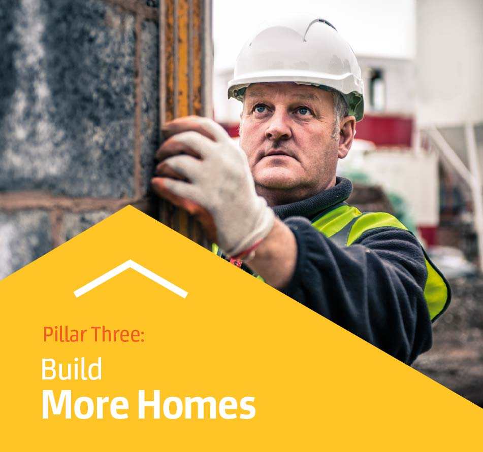 Rebuild Ireland Build More Homes topcomhomes