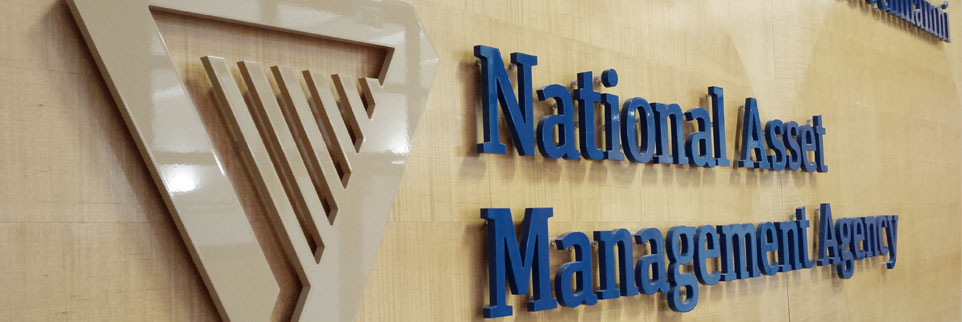 NAMA national asset management agency Ireland